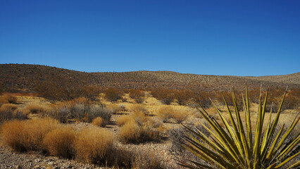 Goodsprings Mining Ghost Town in Nevada