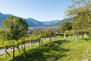 Fototapete bei efototapeten.de bestellen   