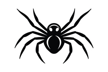 spider isolated on white background