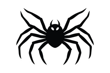 spider isolated on white background