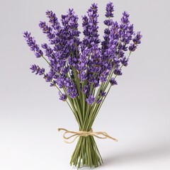 Fototapeta premium Lavender bouquet tied with twine on white background delicate purple flower stems natural light