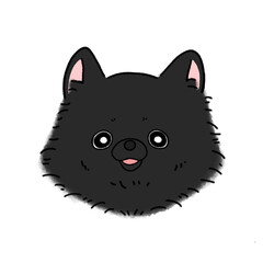 ポメラニアン(ブラック)