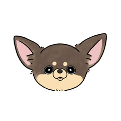 スムースチワワ(チョコタン)