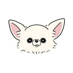 ロングコートチワワ(ホワイト)