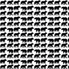 black and white cats