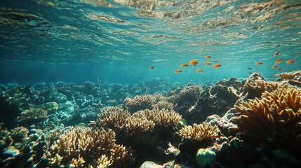 Fototapeta premium Underwater scene showcasing vibrant coral reefs and fish in clear blue water.