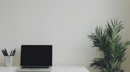 Fototapeta premium Minimalistic Workspace with Laptop, Plant, and Stationery Supplies