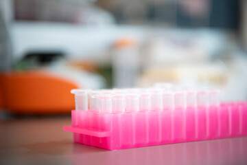 Clear plastic vials in pink holder rack in biotech science medical lab