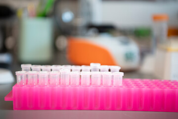 Clear plastic vials in pink holder rack in biotech science medical lab