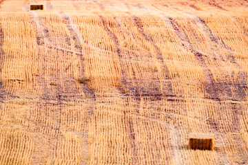 Two Bales of straw in a stubble field in Carrizosa