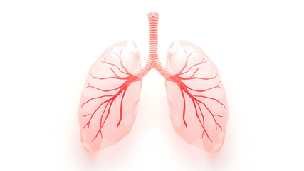Low poly 3D image of beautiful abstract lungs made from smooth elegant transparent fabric on white background 3D pink and peach colors. Generative AI