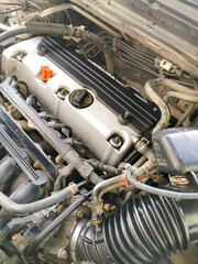 Close-Up of a Clean and Maintained Car Engine Bay with Visible Components