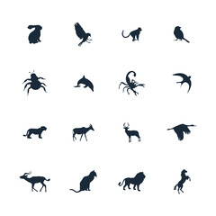 Animals silhouette vector illustration on white background
