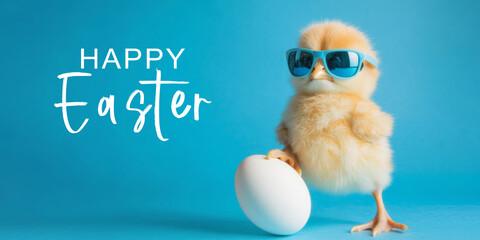 happy easter concept holiday greeting card with text - Cool cute chick with sunglasses and easter egg, isolated on blue background