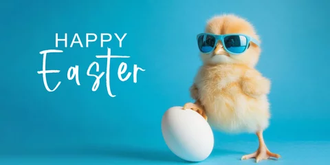 Gardinen happy easter concept holiday greeting card with text - Cool cute chick with sunglasses and easter egg, isolated on blue background © Corri Seizinger