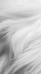 Obraz premium 100. A pristine white fur surface with soft lighting, showcasing a delicate shine