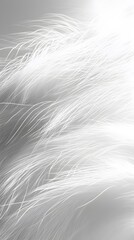Fototapeta premium 42. A soft, airy white fur texture with tiny strands catching the light