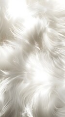 Obraz premium 44. A high-quality white fur surface softly glistening under light rays
