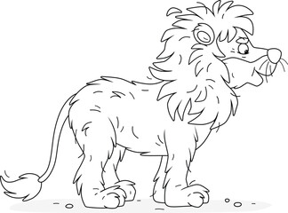 African lion with a large shaggy mane standing and looking forward, black and white vector cartoon illustration for a coloring book