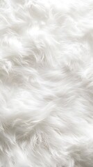 62. A fresh snow-like white fur backdrop, smooth and untouched
