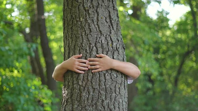 Kid hugging tree in forest, symbolizing connection to environment. Kid embracing tree trunk reflects love for nature. Tree hug promoting environment awareness. Tree hug forest harmony with environment