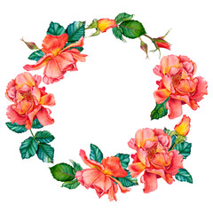 Watercolor floral wreath with red-yellow roses in blossom, green leaves and buds isolated on white background. Hand painted botanical illustration of flowers for invitations, wedding or greeting cards