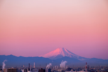 ビーナスベルトに染まる富士山