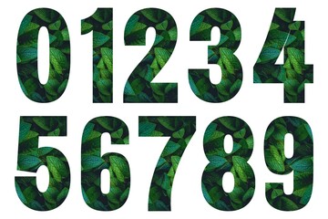 Numbers made of green leaves set on white background. Paper cut of numbers isolated on white background. Nature concept of number. Font style