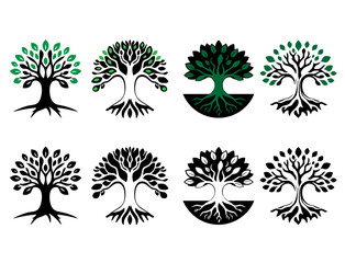 tree of life banyan tree package collection logo vector illustration design colourful