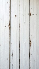 Fototapeta premium Rustic whitewashed wood planks, natural texture, light, photo