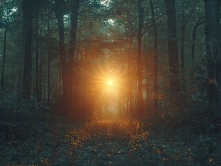 Obraz premium Observing the sun peeking through the trees in a forest is a serene experience