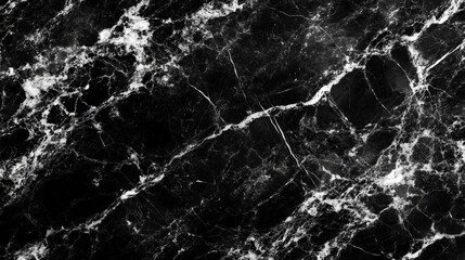Elegant Black and White Marble Design with Bold Veining and Strong Contrast Elements