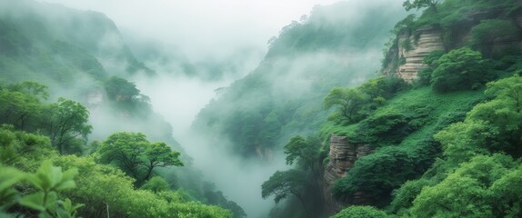 Lush greenery in misty canyon creates serene atmosphere