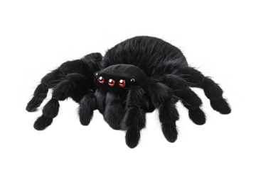 Giant black spider with striking red features creates an eerie atmosphere in a dimly lit corner of a room, perfect for Halloween decorations or spooky storytelling sessions