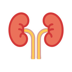 kidneys icon design