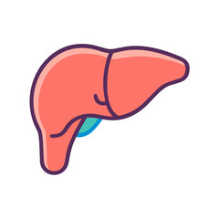 liver icon design