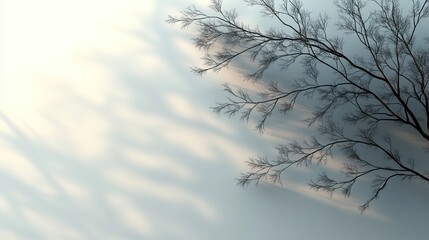 Blurred overlay effect with gray shadows of tree branches on a white wall, abstract nature background.