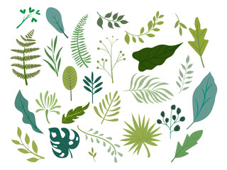 tropical green leaves palm banana leaf hibiscus plumeria philodendron jungle collection design illustration colorful background © SachiDesigns