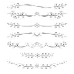 Collection of hand drawn floral dividers and borders vector decorative elements