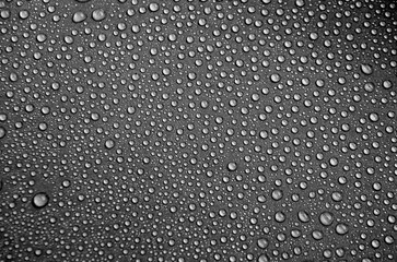 Water droplets with dark background suitable for wallpaper