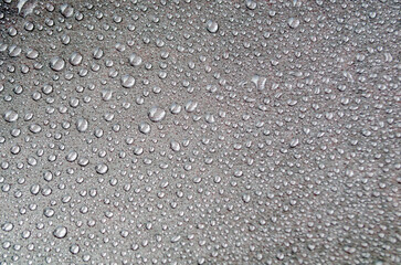 Glistening Water Droplets Against a Dark Backdrop.