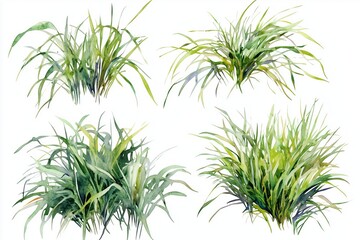 Fototapeta premium Set of top view of watercolor grass bushes isolated on white background. 