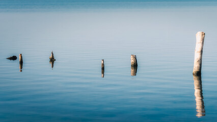 wooden posts in calm lake water in the afternoon autumn background