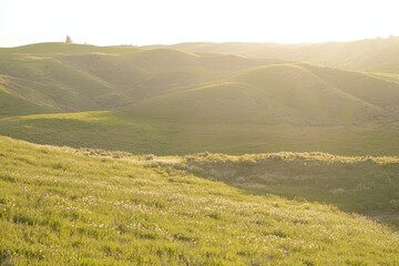 Rolling Hills in Bloom Rolling green hills covered in wildflowers stretching into the distance under a golden sunrise