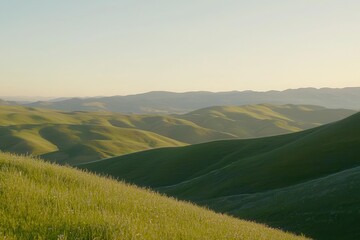 Obraz premium Rolling Hills in Bloom Rolling green hills covered in wildflowers stretching into the distance under a golden sunrise