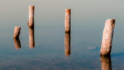 wooden columns in a calm surface of the water