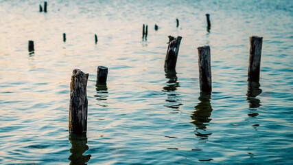 wooden posts in blue water