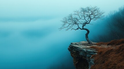 Lonely tree clifftop, misty forest, autumn, serene landscape, nature