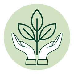 Hands Holding a Sprout Symbol of Growth and Nurturing