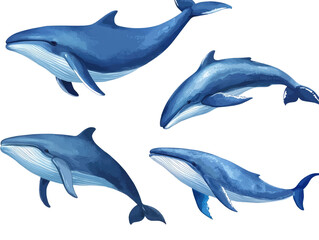 Fototapeta premium Set of blue whale on transparent background.